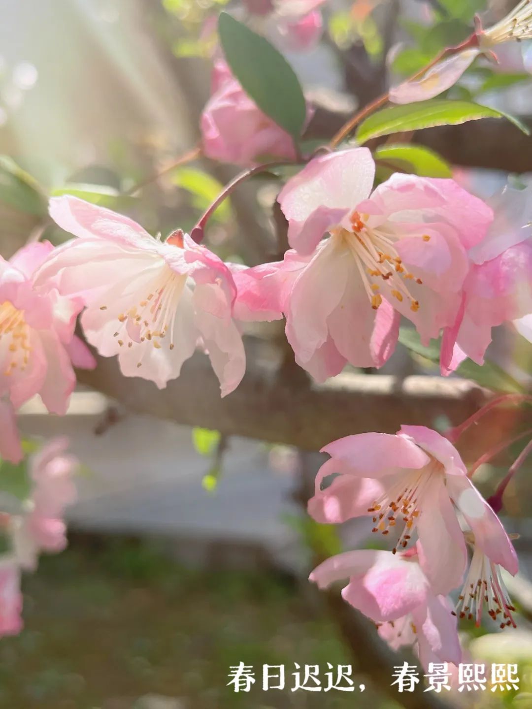 2c5643c971354ac8c77237f735a8a18e.jpg 2c5643c971354ac8c77237f735a8a18e.jpg